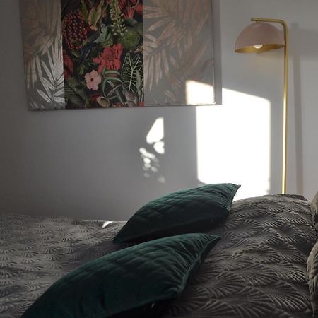 Aloes Studio 克拉科夫 外观 照片