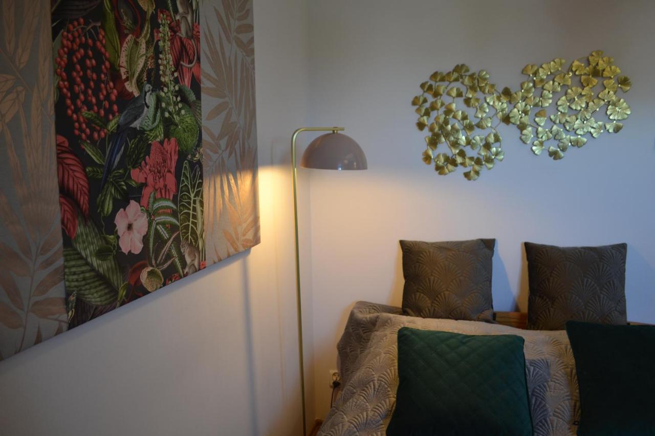 Aloes Studio 克拉科夫 外观 照片